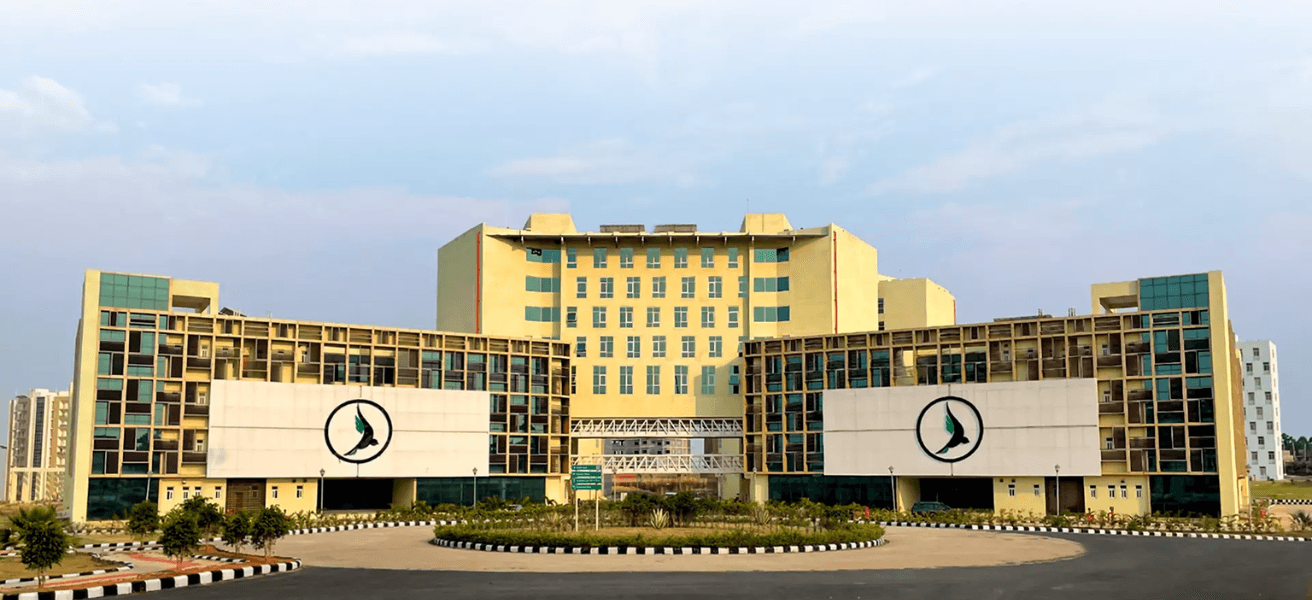 University