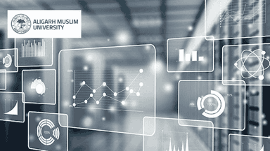 BA Economics with Internship