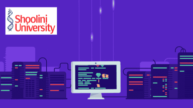 Online BBA- Specializing in Computer Science

