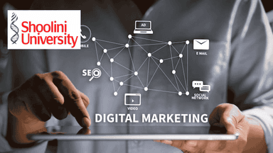 MBA - Specializing in Digital Marketing
