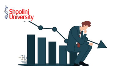 MBA - Specializing in IT Management