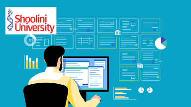 Executive MBA specializing in IT Management