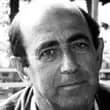 Mauro Calise