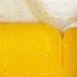 The science of beer