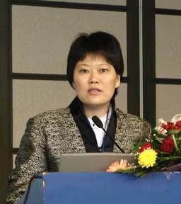Prof. Ming Zhang 张铭