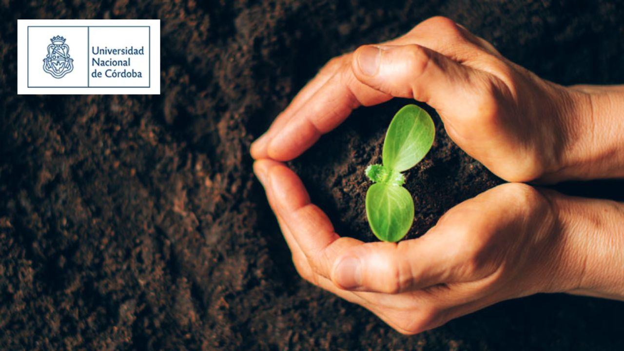 Desafíos de la Producción de Alimentos