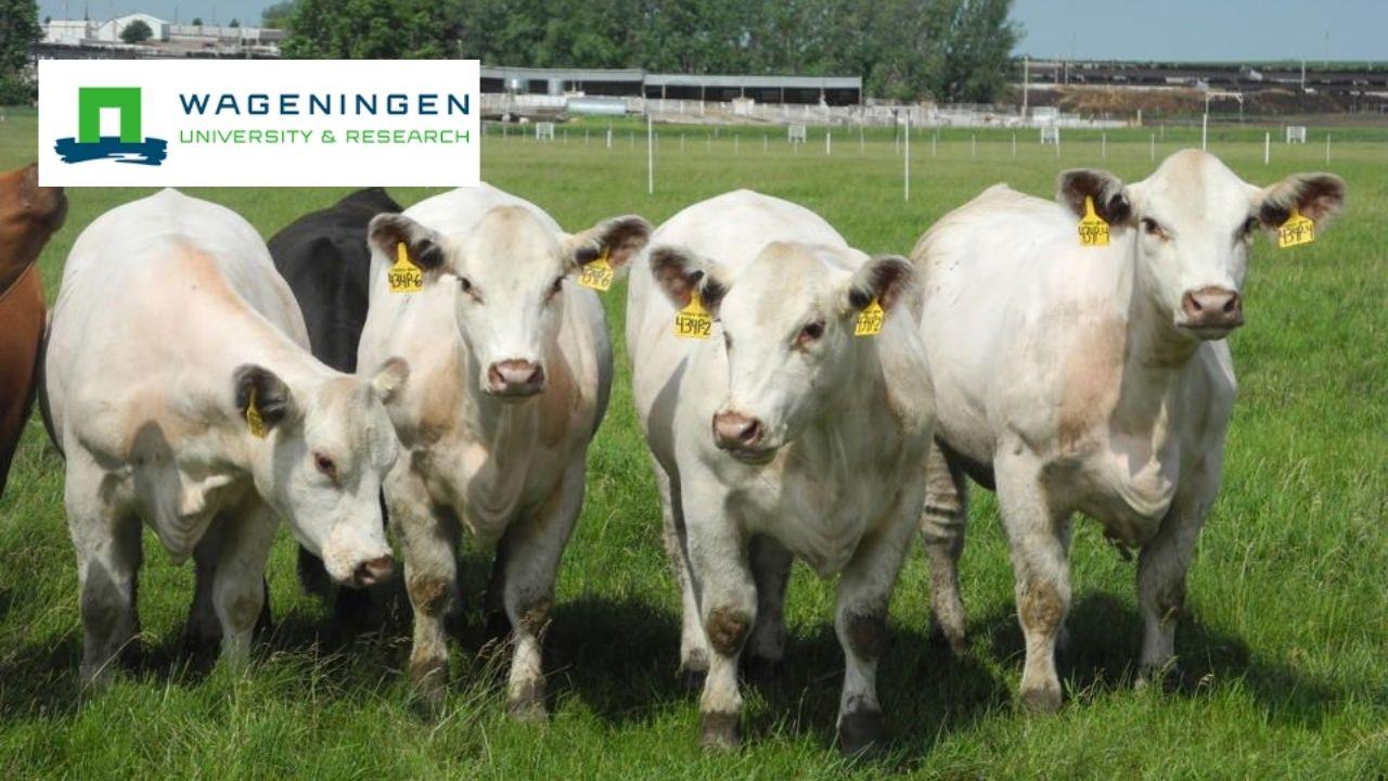 Animal Breeding and Genetics