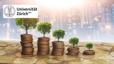 Sustainable Corporate Financing