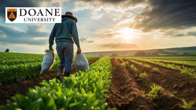 Global Food Systems and Sustainability