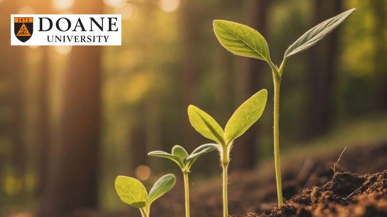 Sustainable Agri-Food Marketing Strategies