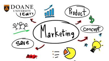 Marketing Essentials Final Assessment