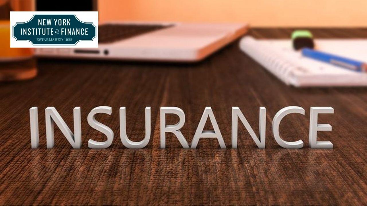 Insurance Risk Management and Performance Analysis