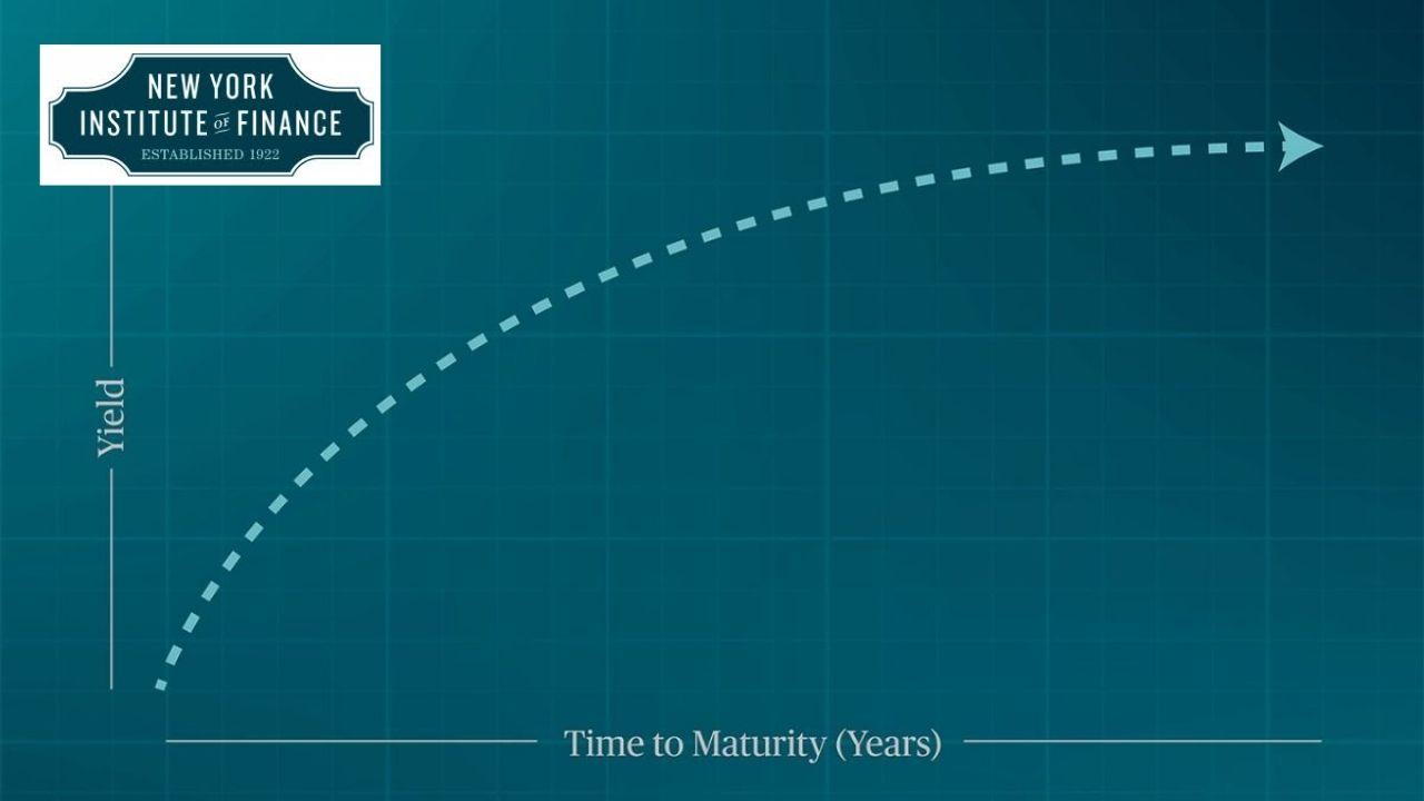 Yield Curve Analysis