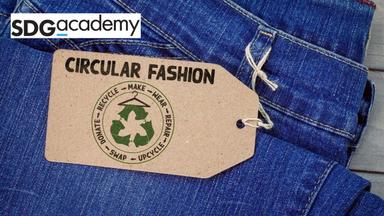 Circular Fashion and Sustainable Innovation