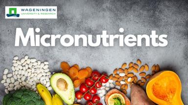 Nutrition and Health: Micronutrients