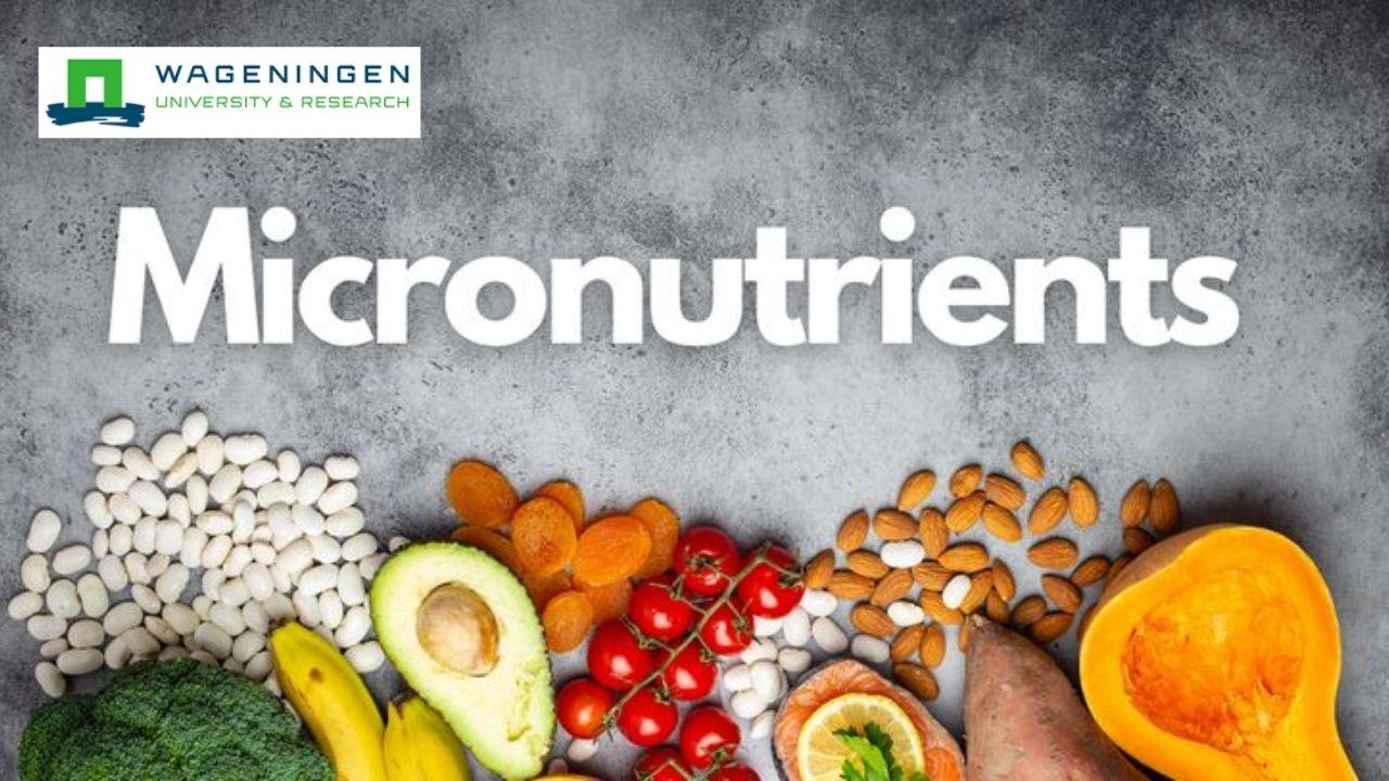 Nutrition and Health: Micronutrients