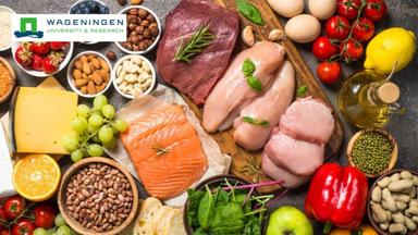 Nutrition and Health: Understanding Macronutrients