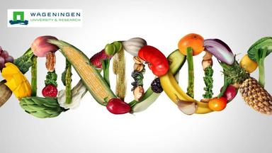 Nutrition and Cancer: Prevention and Treatment