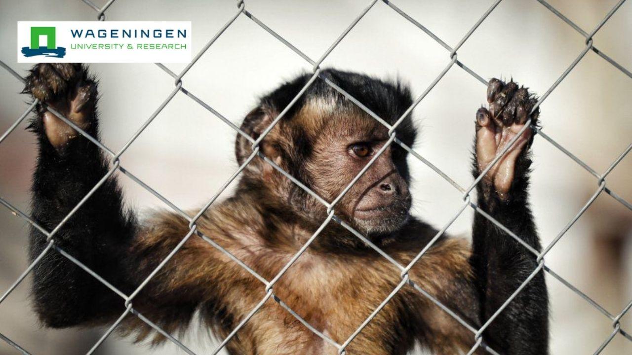 Animal Behaviour in Conservation