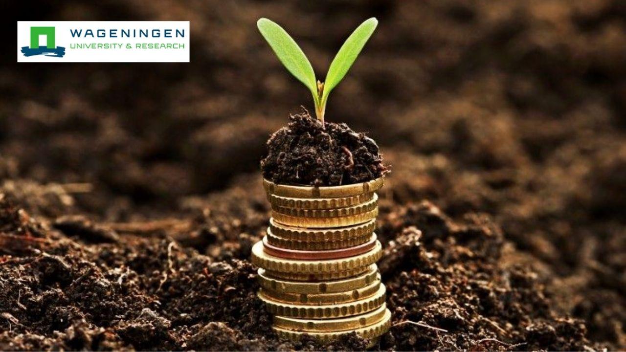 Drainage in Agriculture