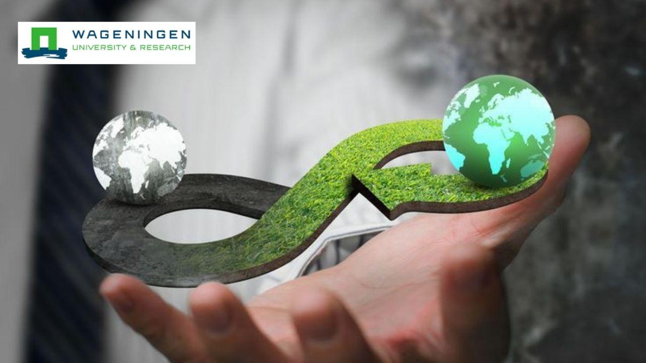 Circular Economy: An Interdisciplinary Approach