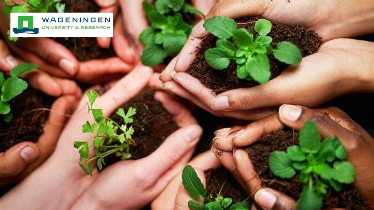 Sustainable Food Security: Systems Thinking