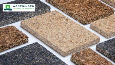 Biorefinery: From Biomass to Building Blocks