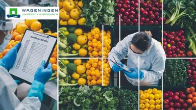 Sustainable Food Security: Food Access