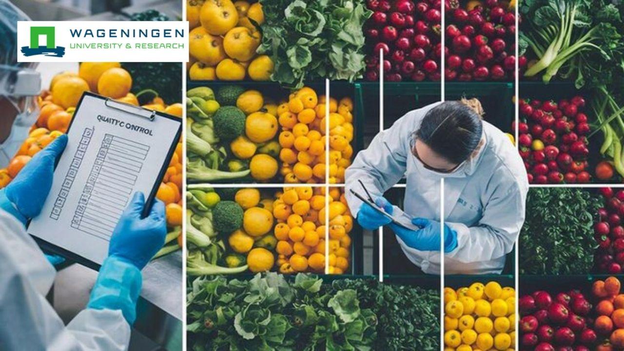 Sustainable Food Security: Food Access