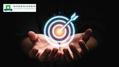 Business Strategy for Circular Bio-Economy