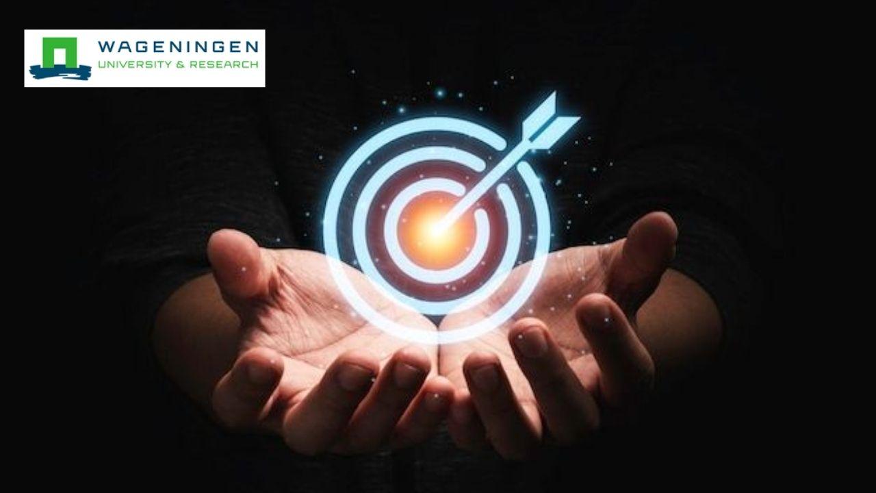Business Strategy for Circular Bio-Economy
