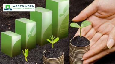 Business Economics in Biobased Economy