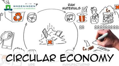 Capstone: Economics and Policies for Circular Economy