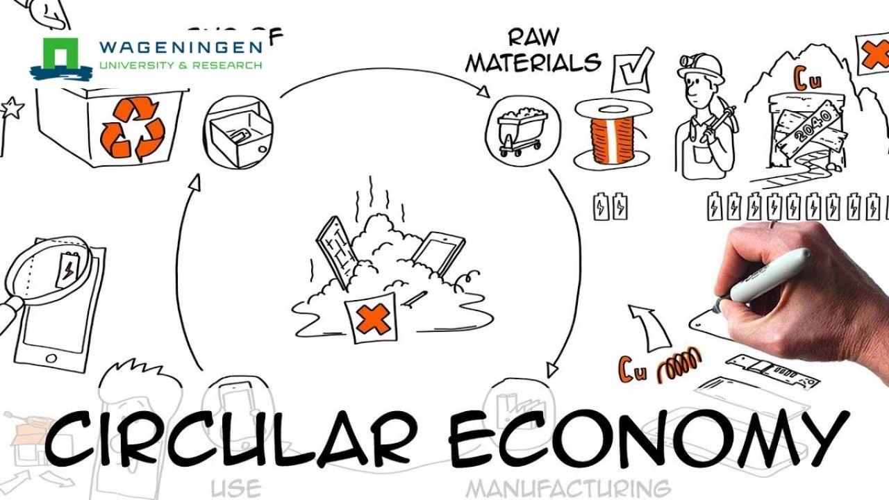 Capstone: Economics and Policies for Circular Economy