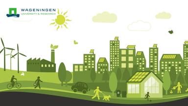 Sustainable Development Leadership