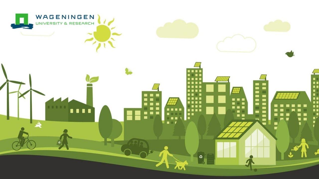Sustainable Development Leadership