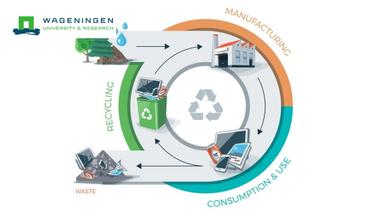 Capstone: Business and Operations for Circular Bio-Economy