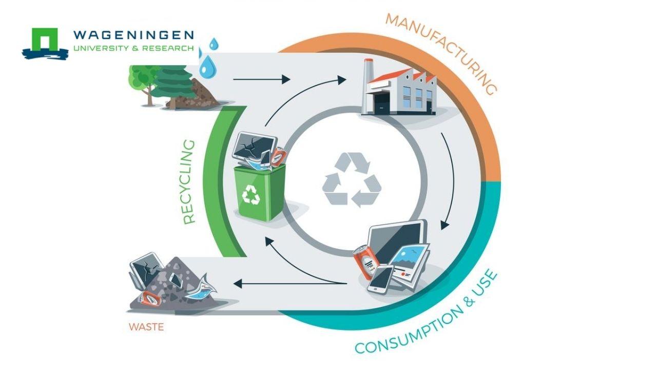 Capstone: Business and Operations for Circular Bio-Economy