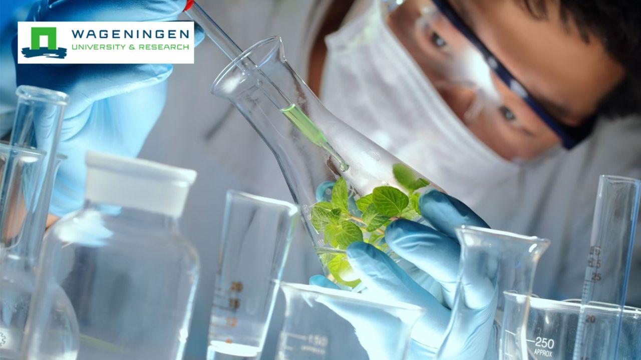 Sustainable Process Design