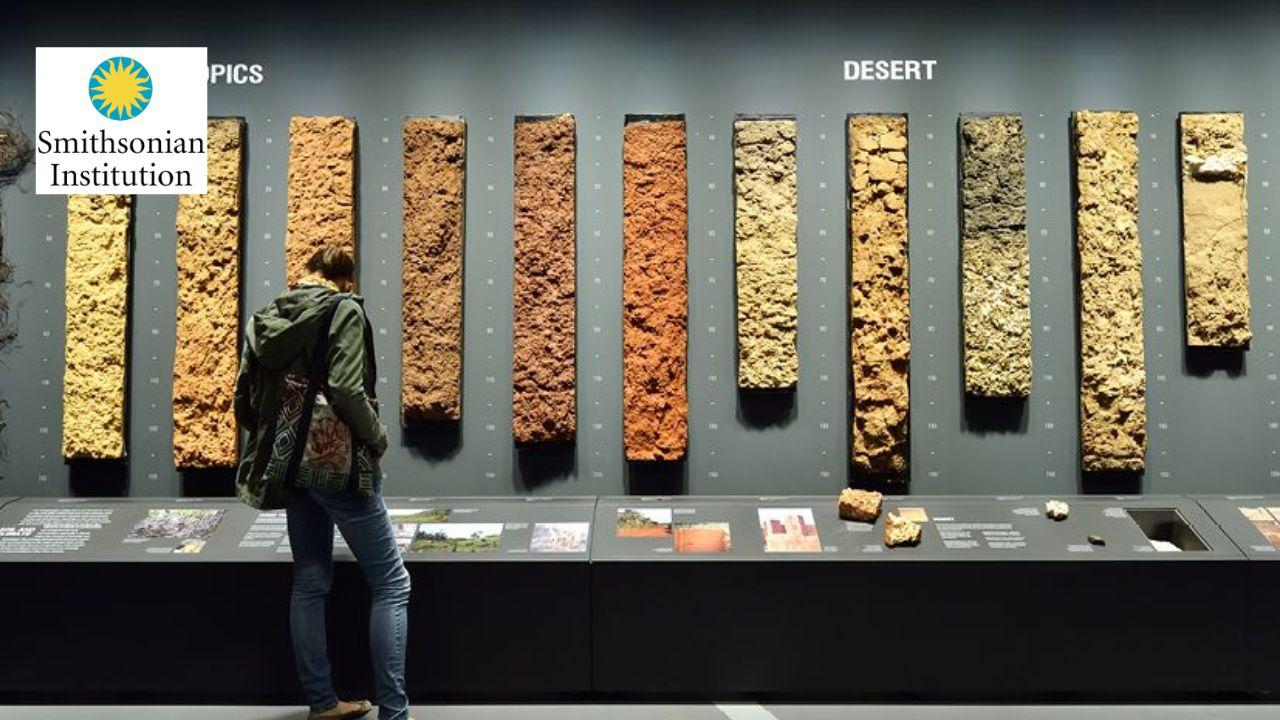 Interdisciplinary Teaching with Museum Objects