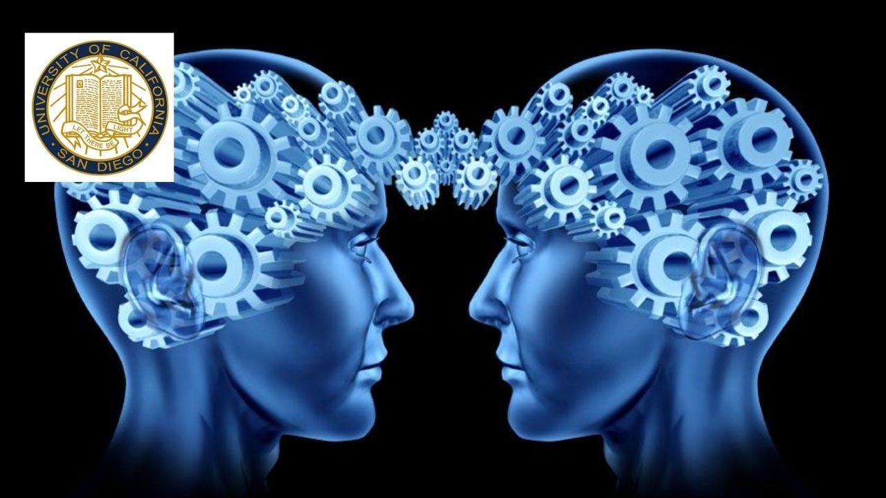 NP-Complete Problems: Advanced Algorithmic Techniques