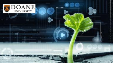 Agri-Food Systems Analysis