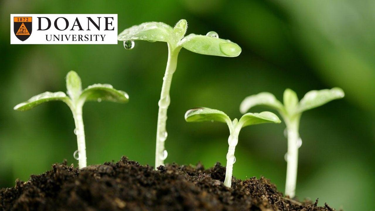 Cannabis Cultivation and Processing Essentials