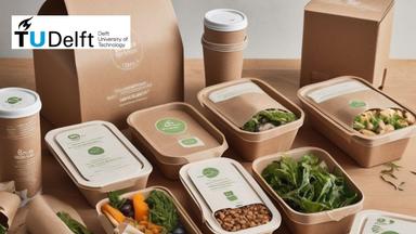 Sustainable Packaging Design