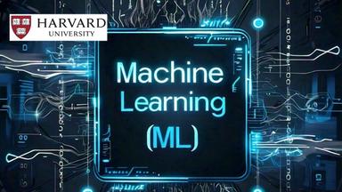 Machine Learning: Build Recommendation Systems