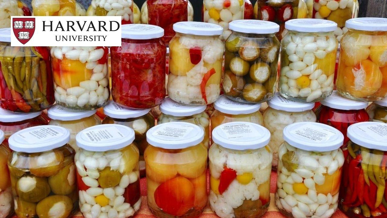 Fermentation: Cooking with Beneficial Microbes