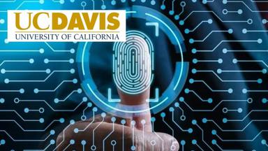 Exploiting and Securing Vulnerabilities in Java Applications