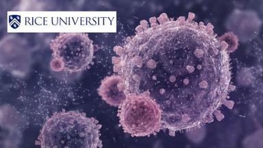 Fundamentals of Immunology