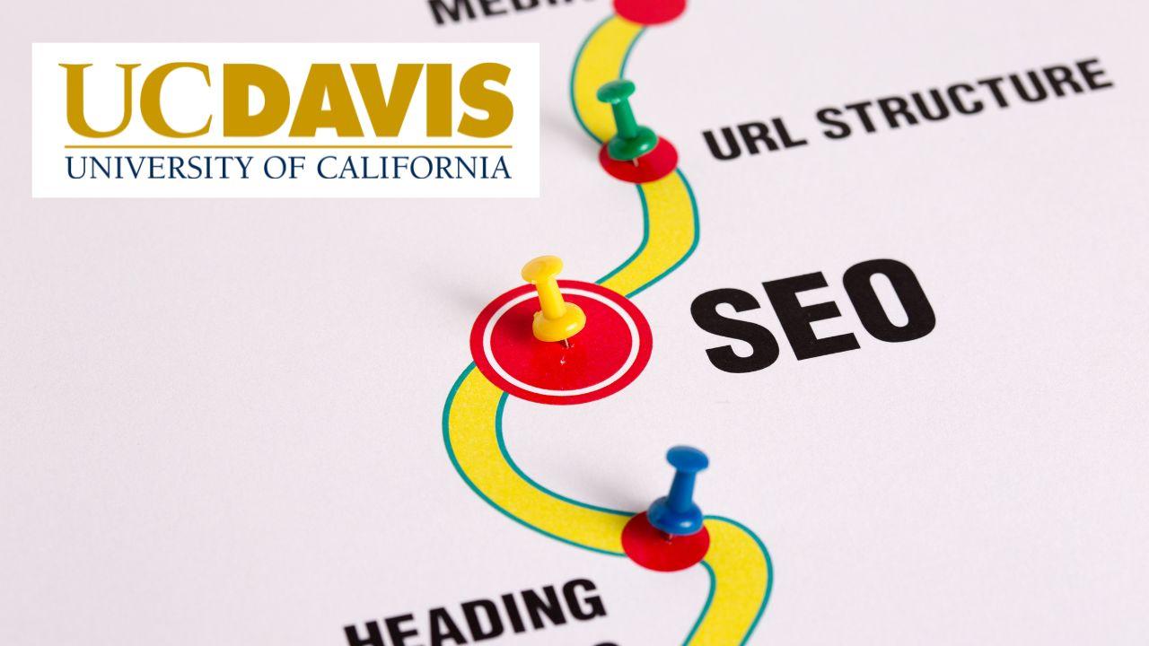 Search Engine Optimization (SEO) Specialization