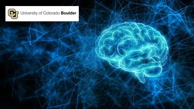 The Neuroscience of Leading High-Performance Teams